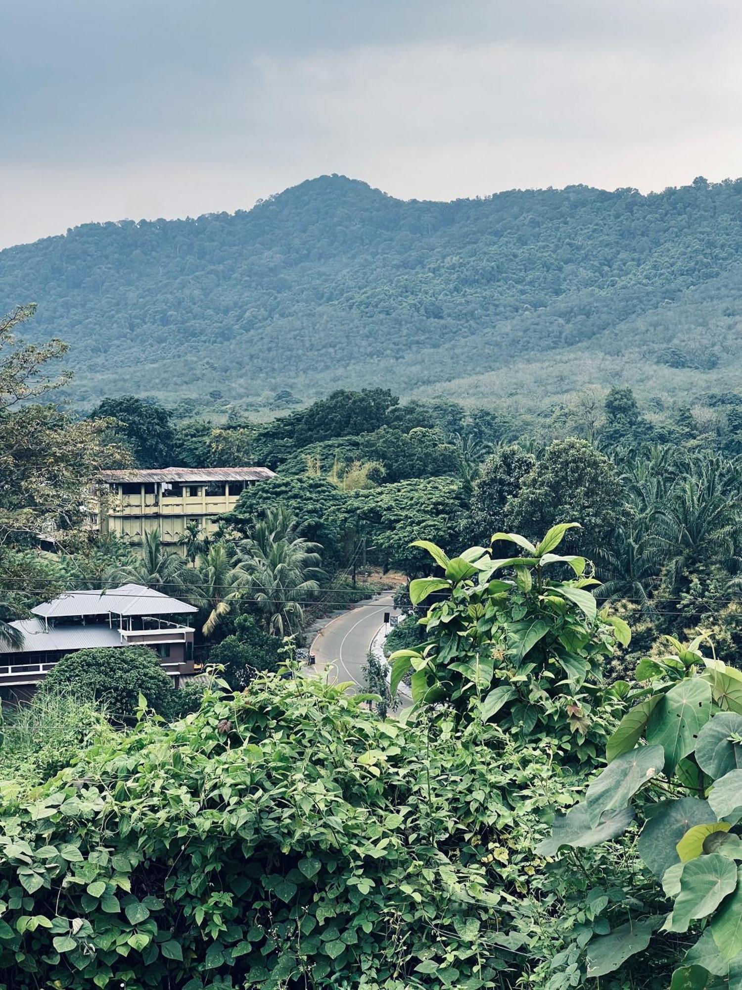 7Fort Homestay Athirappilly Extérieur photo